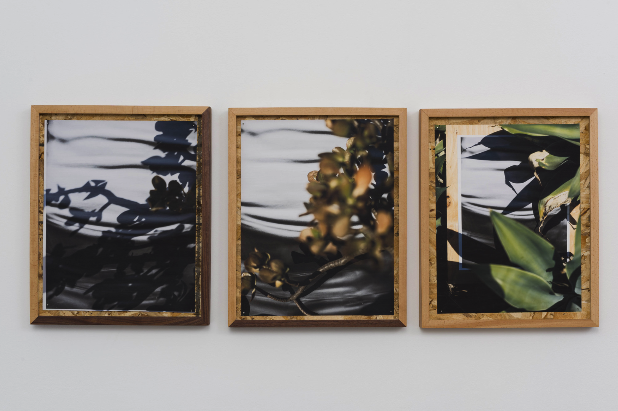 圖四、從左至右《庫卡蒙格牧場 34.1064° N, 117.5931° W. 》2018《回聲公園 34.0782° N, 118.2606° W.》 2018《康普頓 33.8958° N, 118.2201° W. 2018》David Alekhuogie